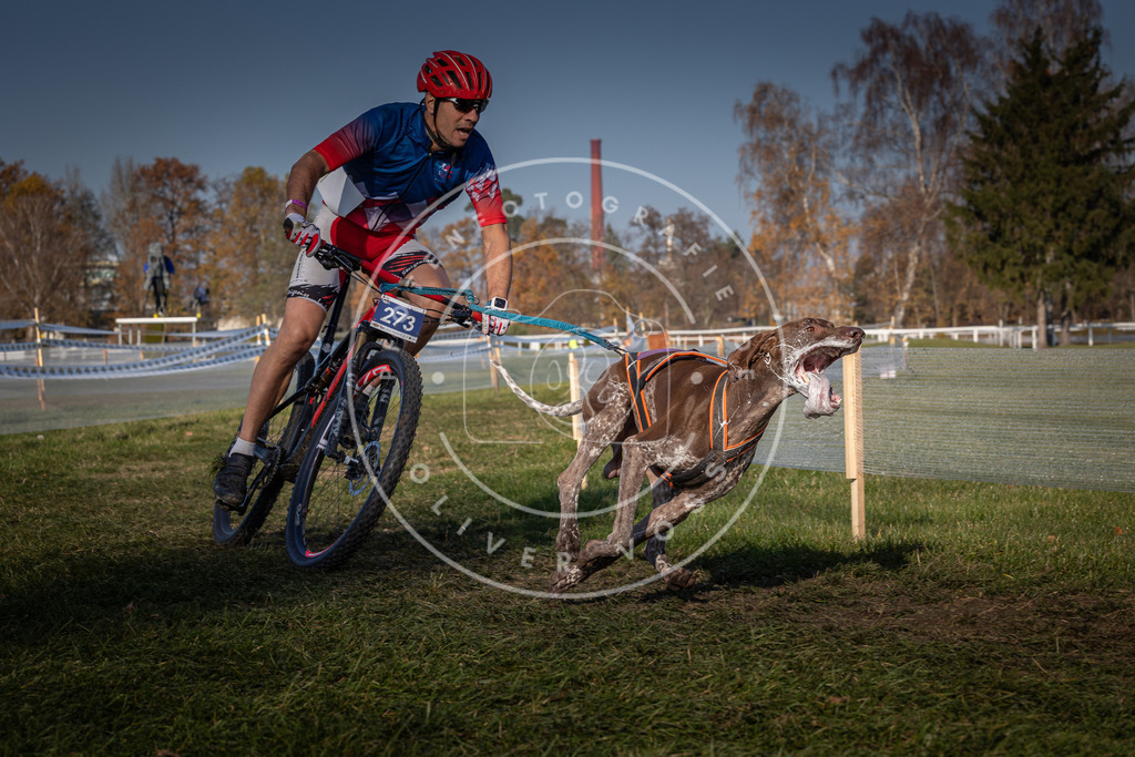 CaniXpix_0L8A6689 | Hundefotografie, Tierfotograf, Pfotenfotografie, Fotoshooting Hund, Hunde Portrait, Hundesport, Hundeportraits, Heideshooting, Hunde, Sportfotograf, Hundefotograf, Turnierhundsport, THS,  - Realisiert mit Pictrs.com