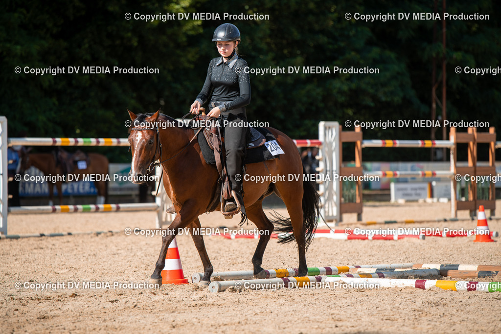 EWP_6963 | dv-media-shop - Realisiert mit Pictrs.com