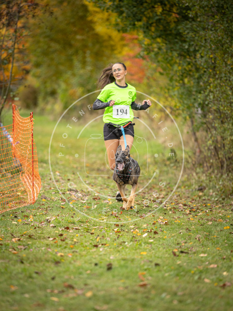 Pfotenfotografie_DV3A3925 | Hundefotografie, Tierfotograf, Pfotenfotografie, Fotoshooting Hund, Hunde Portrait, Hundesport, Hundeportraits, Heideshooting, Hunde, Sportfotograf, Hundefotograf, Turnierhundsport, THS,  - Realisiert mit Pictrs.com