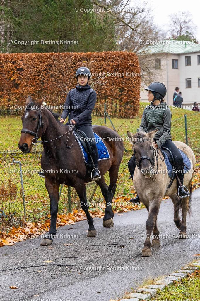 LL25-149 | foto-bettina-krinner - Realisiert mit Pictrs.com