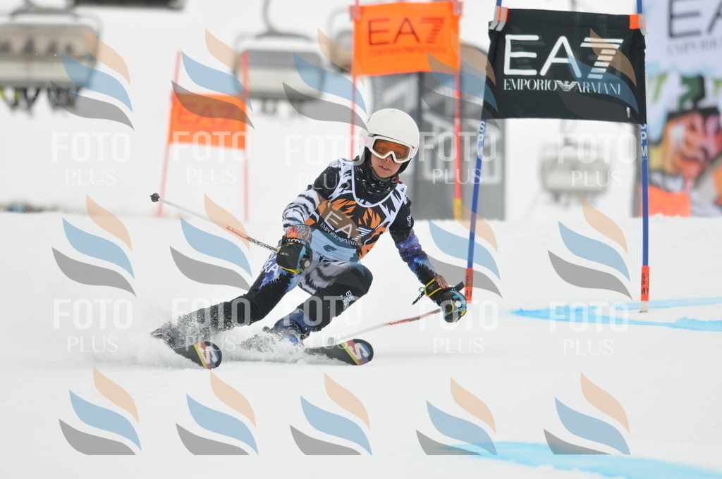 DSC_7350 | holidayphoto