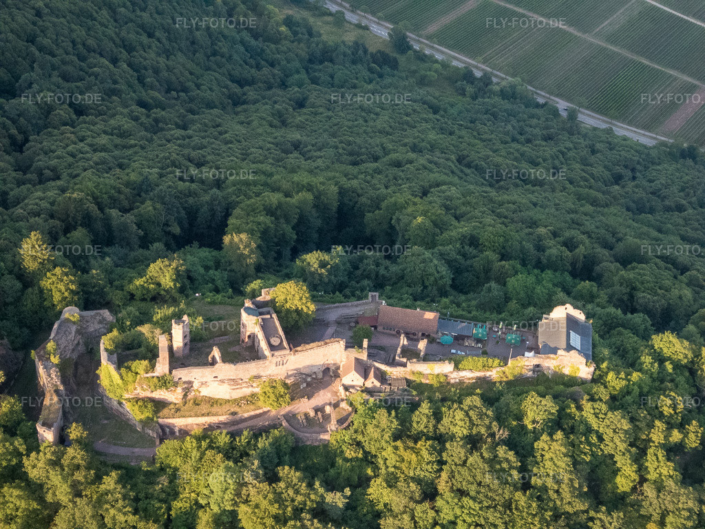 Luftbild: Burgruine Madenburg aus Westen in Eschbach im Bundesland Rheinland-Pfalz in Deutschland. Foto: P7130225.jpg vom 13.07.2017 durch Werner Riehm/FLY-FOTO.de – Madenburg