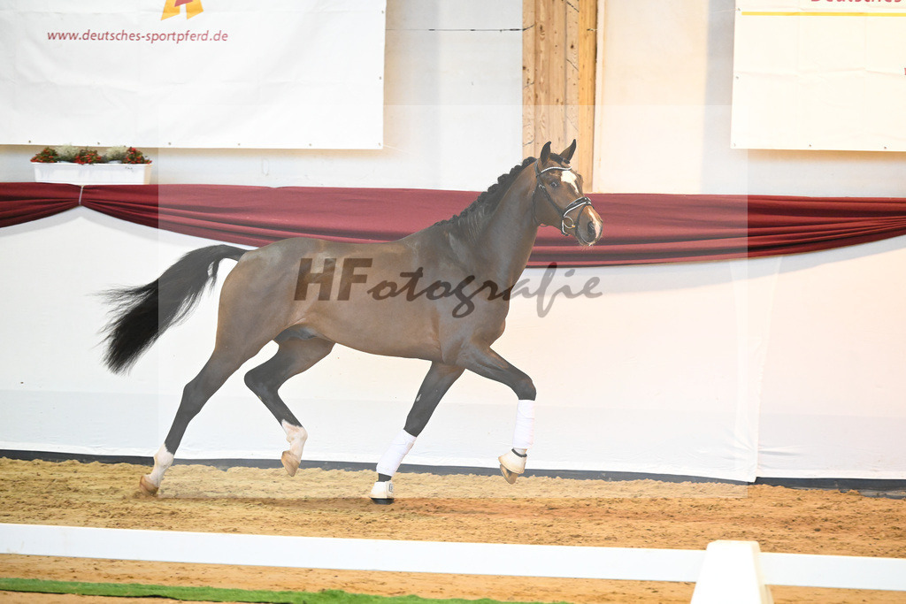 Kat-Nr. 59 v. Zalando_Kuntz_66222225 | hf-fotografie - Realisiert mit Pictrs.com
