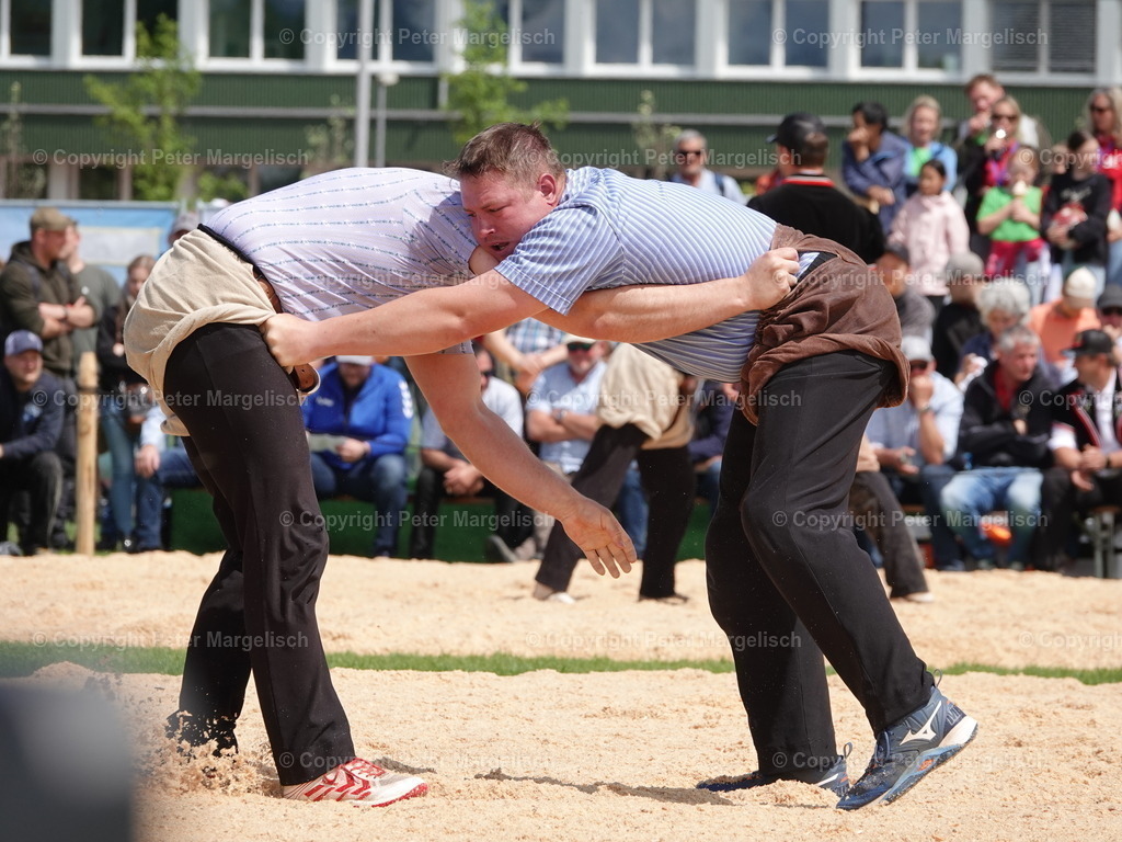 DSC06383 | Schwingen - Realisiert mit Pictrs.com