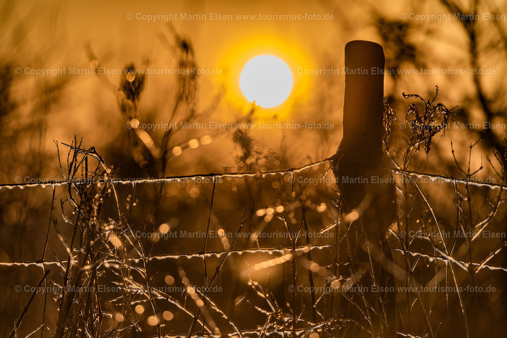 Altes Land Beregnung Eis_ELS_9572260320 | Fotos aus den Touristenorten aus Norddeutschland. - Realisiert mit Pictrs.com