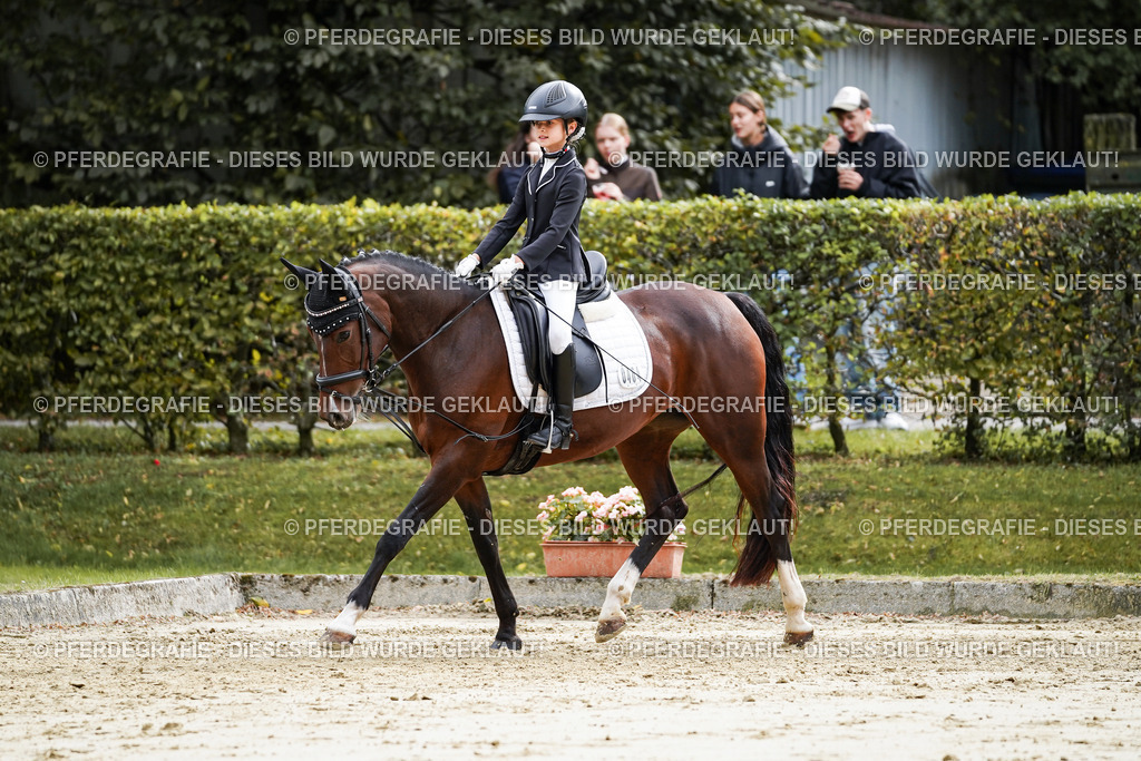 DSC05600 | Pferdegrafie