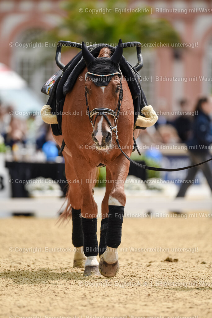 20250608_CVI-Masterclass_0606 | Foto: Thomas Hartig