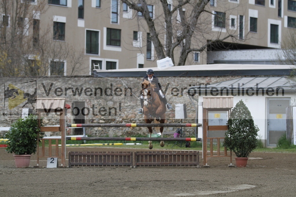 _MG_6467 | equestrian-live-com