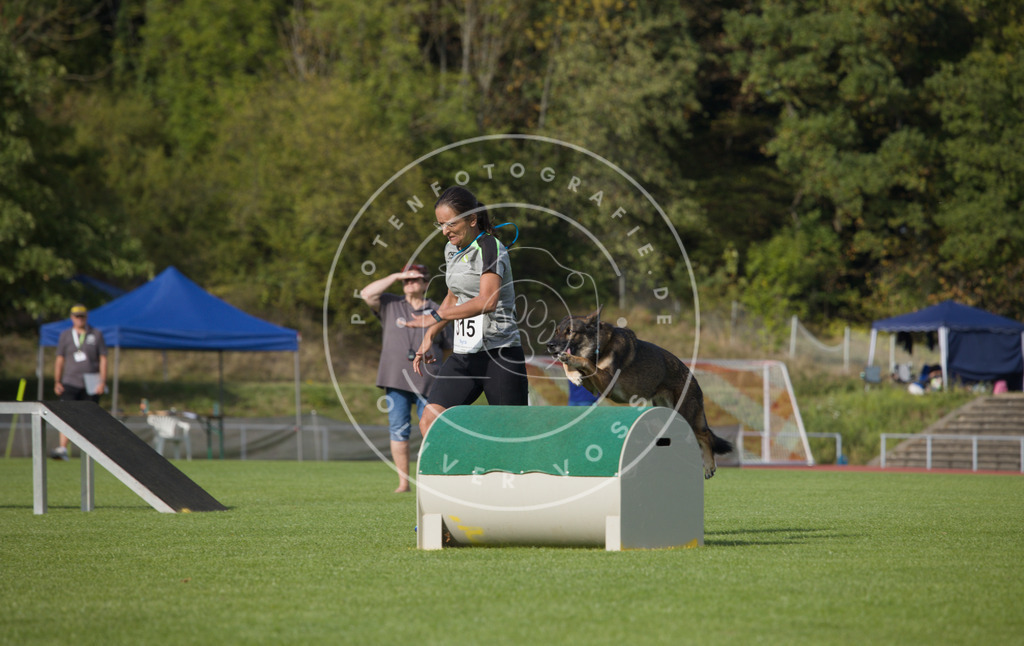 0L8A3835 | Hundefotografie, Tierfotograf, Pfotenfotografie, Fotoshooting Hund, Hunde Portrait, Hundesport, Hundeportraits, Heideshooting, Hunde, Sportfotograf, Hundefotograf, Turnierhundsport, THS,  - Realisiert mit Pictrs.com