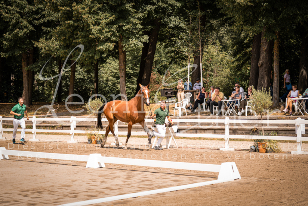 1.Fr00107 | Leoni Ertmer Photography - Realisiert mit Pictrs.com