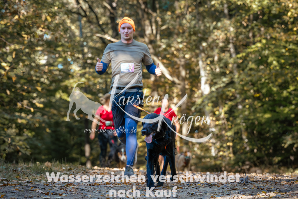1132_ZZ92641 | kk-dogfotos