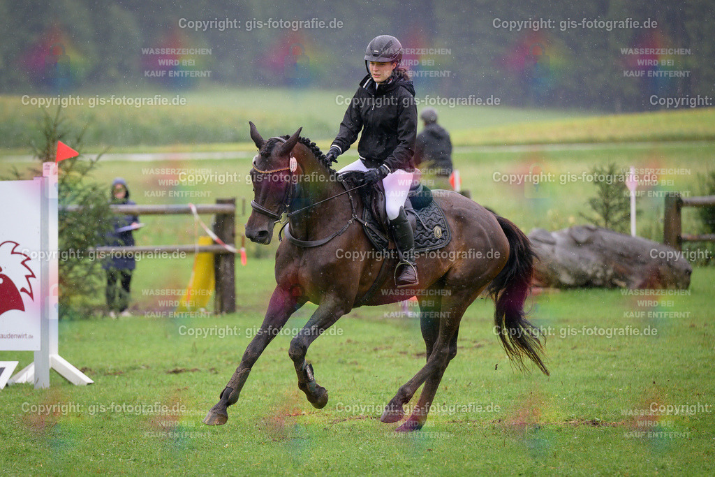 051_Müller_Emilia_Shelby-10_A1_Springen_250802_01 | gis-fotografie