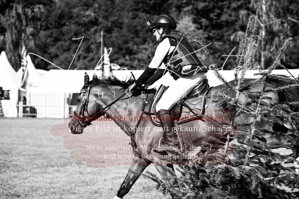 DSC_0747 | Pferde- und Turnierfotografie in Westsachsen. Pferdeportraits, Auftragszeichnungen und intuitive Kunst.