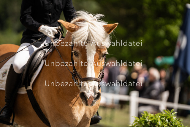 Bad_Meinberg_04941 | saradresslerfotografie - Realisiert mit Pictrs.com