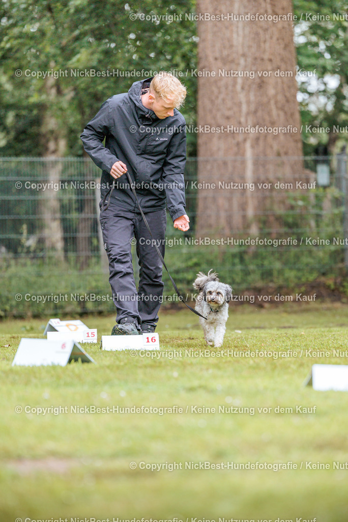 RO-Blumenthal-2026-Nickbest-Hundefotografie-4711 | Dein Hund! Dein Moment! Deine Erinnerungen! Hundefotografie in Bremen Blumenthal. Ich fange die besonderen Momente deines Vierbeiners ein – ob Indoor mit Blitzanlage oder in der freien Natur. Sicher dir dein Moment und dein Termin für eure Erinnerungen.