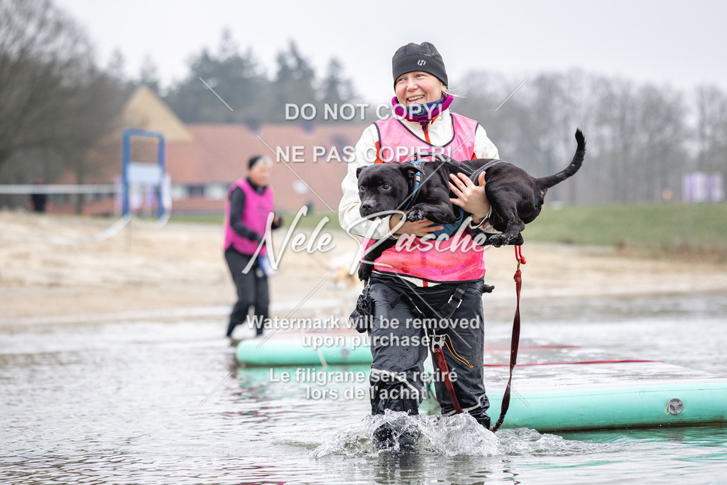 nelerasche_Hulsbeek_Sa1100-1130_239 | nelerasche