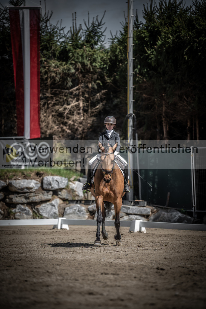 DSC_0922 | equestrian-live-com