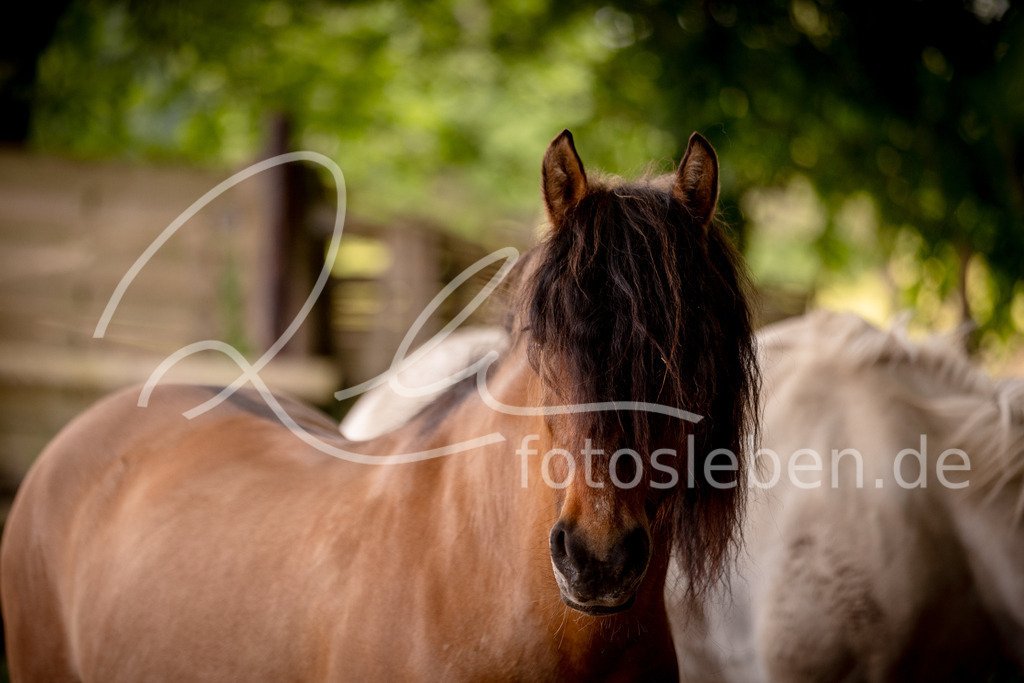 846A0463 | fotosleben - Realisiert mit Pictrs.com