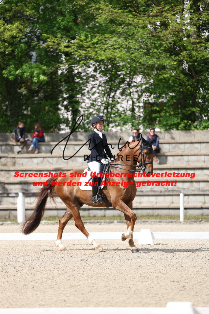 A40A4064 | lmwpictures - Realisiert mit Pictrs.com