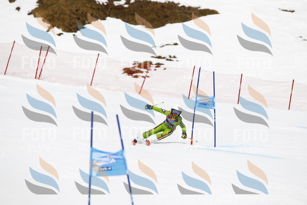 _U3G7006 | holidayphoto