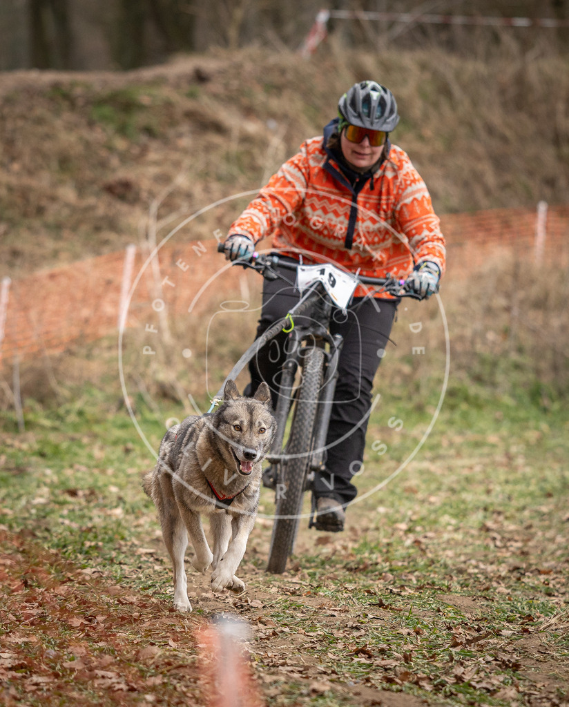 Pfotenfotografie_DV3A6924 | Hundefotografie, Tierfotograf, Pfotenfotografie, Fotoshooting Hund, Hunde Portrait, Hundesport, Hundeportraits, Heideshooting, Hunde, Sportfotograf, Hundefotograf, Turnierhundsport, THS,  - Realisiert mit Pictrs.com