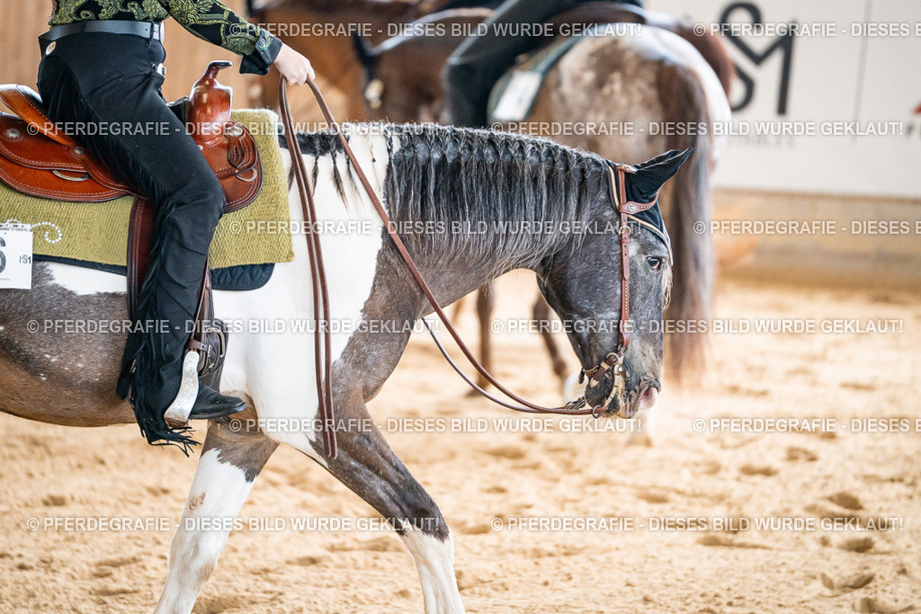 DSC01124 | Pferdegrafie