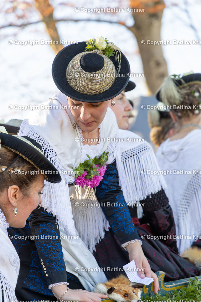 LBT25-1007 | foto-bettina-krinner - Realisiert mit Pictrs.com