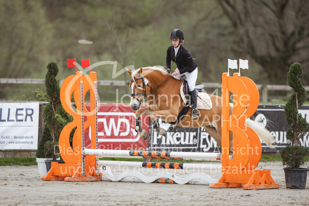 240330_Fruehlingsfest_Stilspring-WB-525 | Deine schönsten Turniermomente als professionelle Fotos! Entdecke hochwertige Pferdesport-Fotografie im Online-Shop. Jetzt Fotos finden & bestellen!