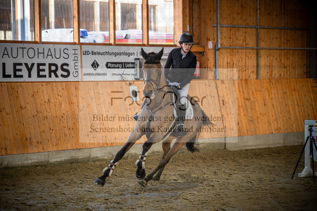 DOS_0681 | Entdecke hochwertige Reitturnierfotos von Foto Oger. Professionell, emotional und authentisch – jetzt Lieblingsmomente im Shop bestellen.Deutschlandweite Turnierfotografie. - Realisiert mit Pictrs.com