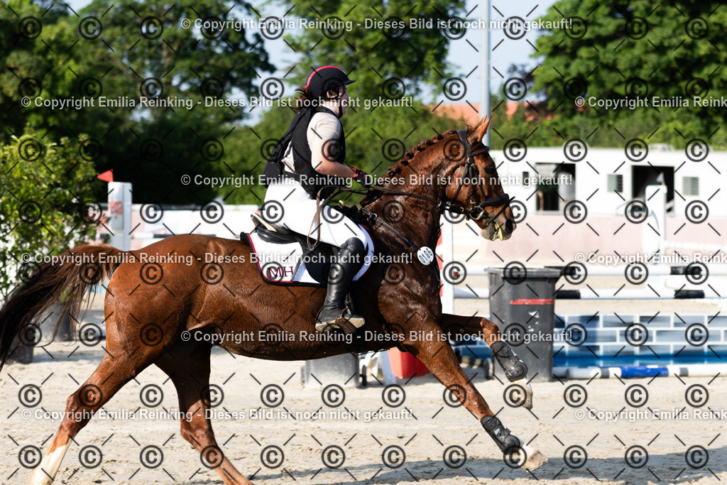 CL5A1415 | Emilia Reinking Fotografie - Realisiert mit Pictrs.com