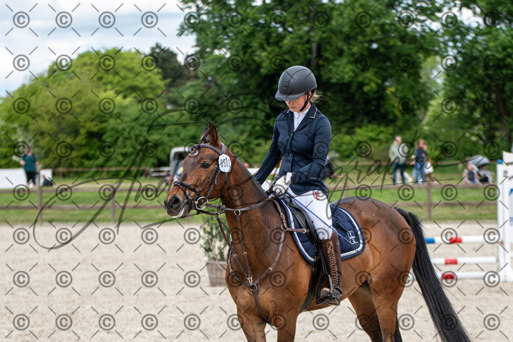 KPT_6314 | andre_photographic