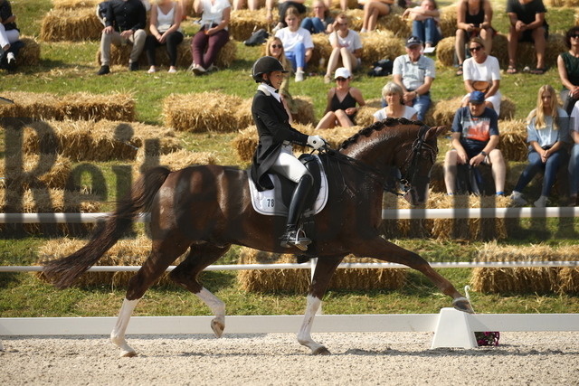 Birkhof_2022_GrandPrixSpecial_Jasmin Schaudt_Fano 3 (9) | Alle Fotos der Reiterjournal Fotografin Doris Matthaes im Reiterjournal Online-Fotoshop. - Realisiert mit Pictrs.com
