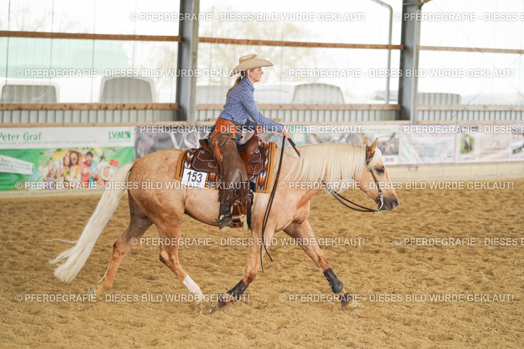 DSC05894 | Pferdegrafie