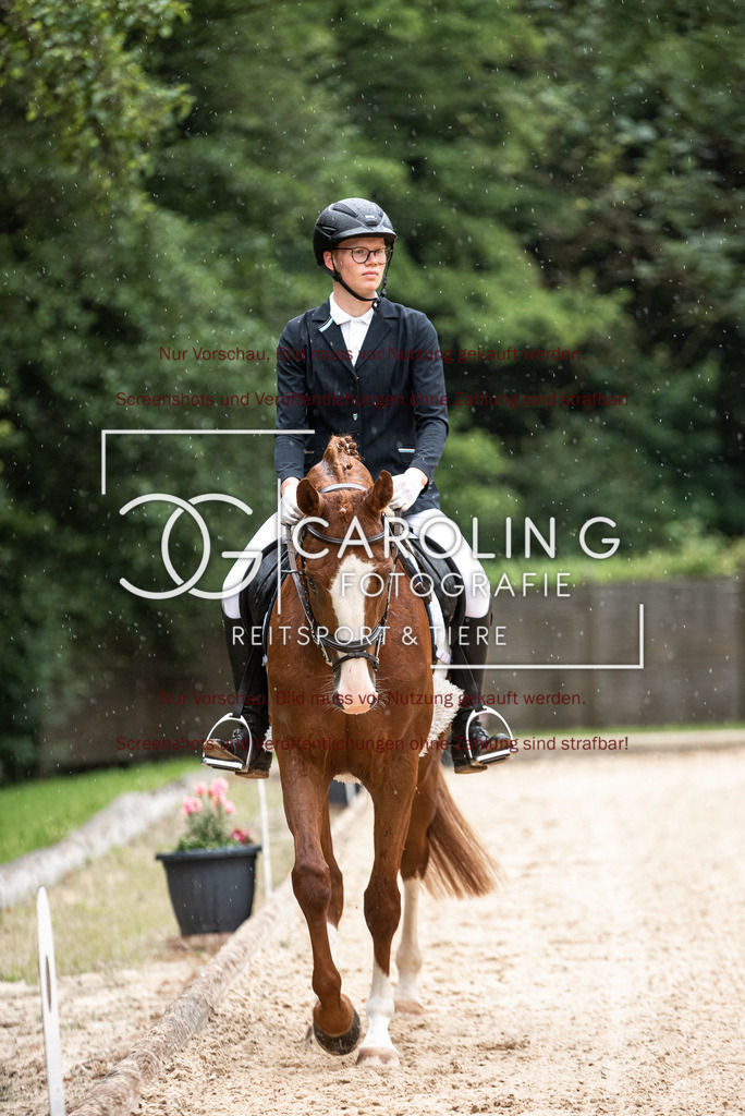 DSC_3034 | Turnierfotografin Carolin Gieschke,Reitsport Turnierfotografie Carolin G Fotografie | Turnierfotos aus Kirchheim/Teck, Esslingen, Stuttgart und dem Bodenseekreis