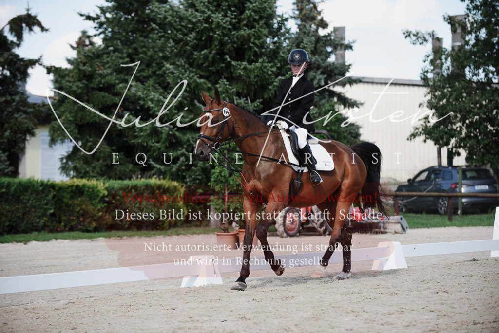 DSC_9991 | Pferde- und Turnierfotografie in Westsachsen. Pferdeportraits, Auftragszeichnungen und intuitive Kunst.