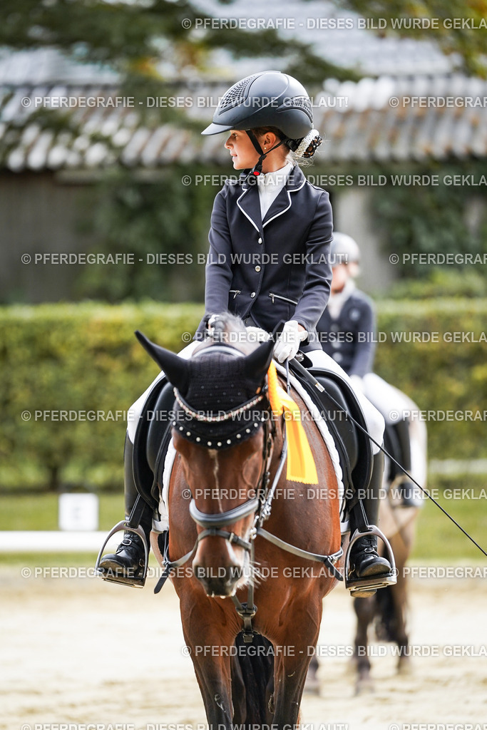 DSC05725 | Pferdegrafie