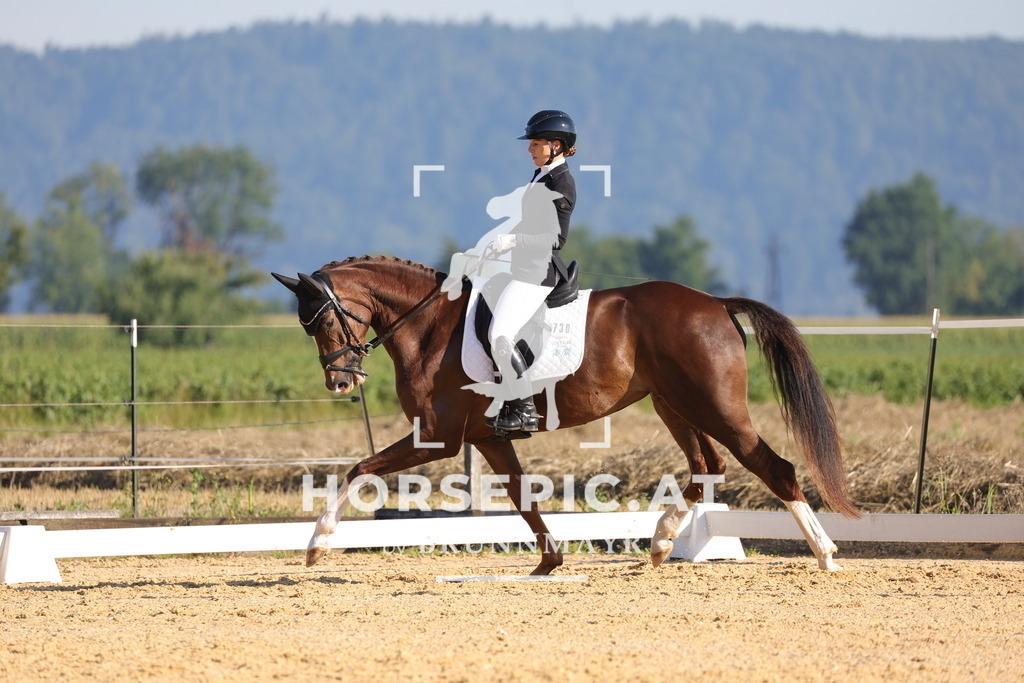 0P6A6985 | Willkommen bei Brunnmayr - Design & Fotografie – Ihrem Spezialisten für Reitturniere und Pferdeveranstaltungen in Oberösterreich, Salzburg und Bayern! Seit über 17 Jahren sind wir leidenschaftlich dabei.