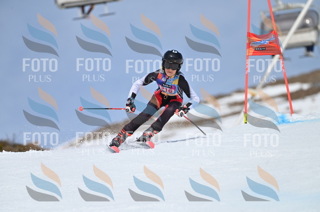 BGV_1231 | holidayphoto