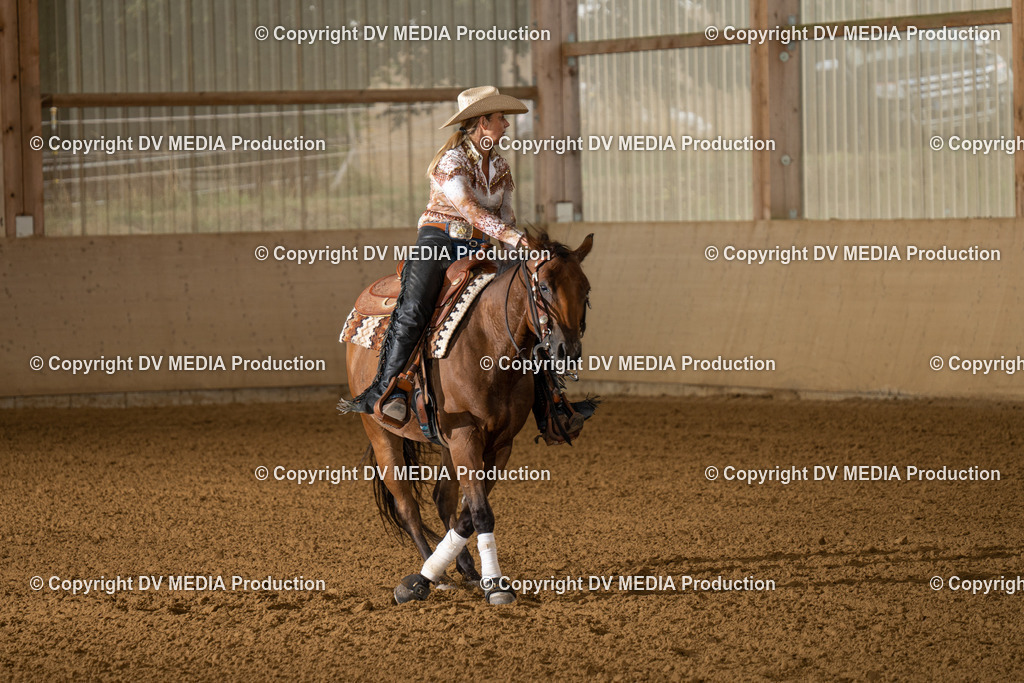 LAU00932 | dv-media-shop - Realisiert mit Pictrs.com