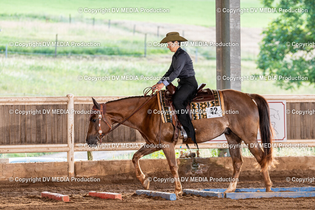 Erbach Tag 2-09 | dv-media-shop - Realisiert mit Pictrs.com