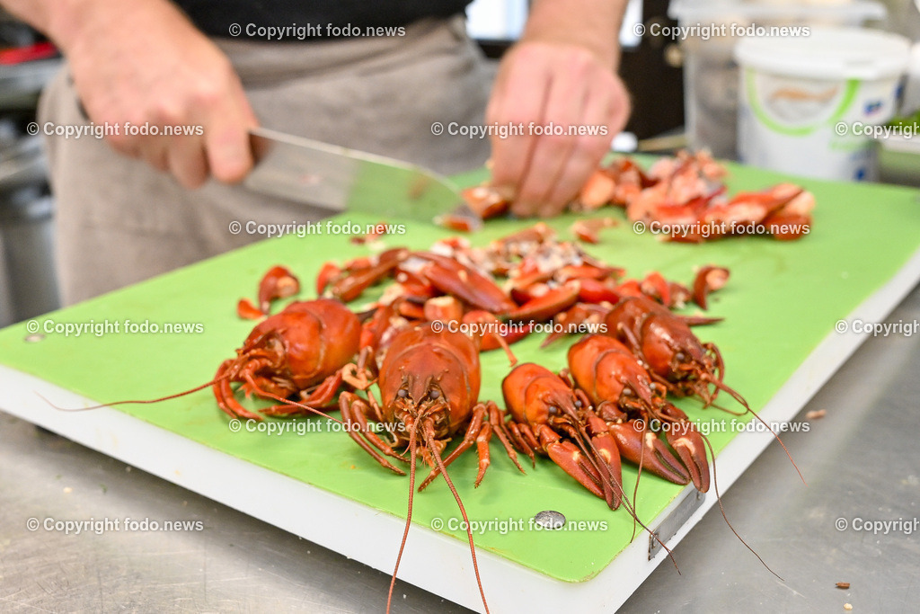 Suedbahnhofmarkt Linz_ Die Pastamacher_ 20.06.2023-3 | 20.06.2023, Linz, AUT, Suedbahnhofmarkt, Die Pastamacher, im Bild Didi Oeller beim zubereiten der selbstgefangenen Trauner Flusskrebse fuer Taglioini mit Flusskrebsschaum
