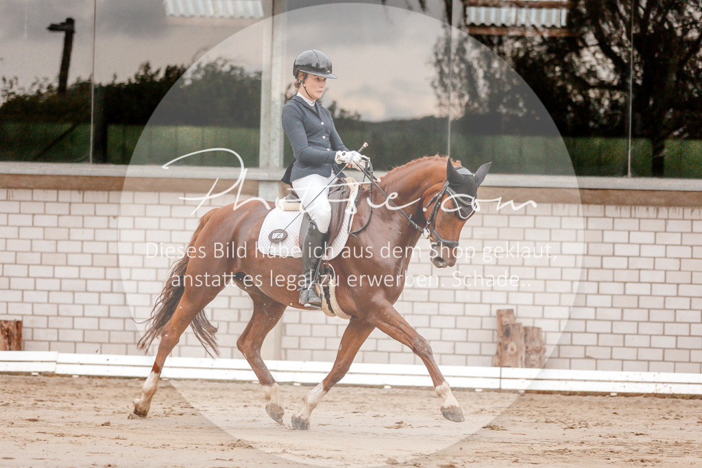 3I6A5414 | Stimmungsvolle Portraits und Reitsportfotografie im Ruhrgebiet und im Münsterland.

Pferdefotografie, Hundefotografie, Tierfotografie, Reportagen, Portraits von Tier und Mensch, Turnierfotografie in Bochum, Recklinghausen, Marl, Haltern am See, Dülmen.. - Realisiert mit Pictrs.com