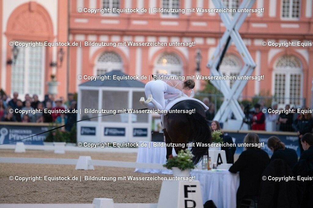 20230527_Voltigieren_NASPA_Flutlicht_0169 | equistock