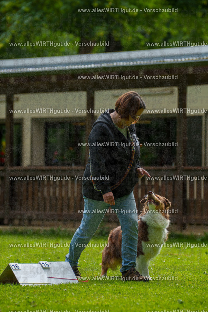 @allesWIRTHgut_Tierfotografie - www.allesWIRTHgut.de - 094646-7R507613 | Professionelle Tierfotografie in Mönchengladbach von Daniel Wirth (allesWIRTHgut). Liebevolle & natürliche Bilder von Hunden & Katzen für unvergessliche Erinnerungen.
