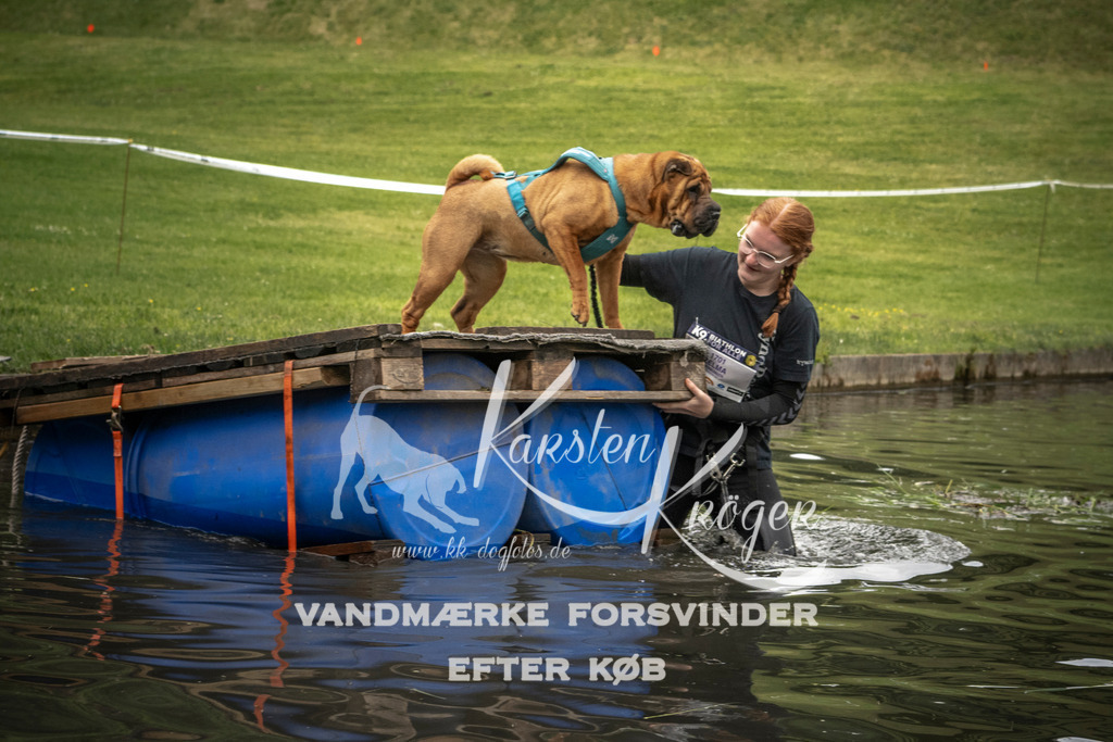 1101_ZZ95868 | kk-dogfotos