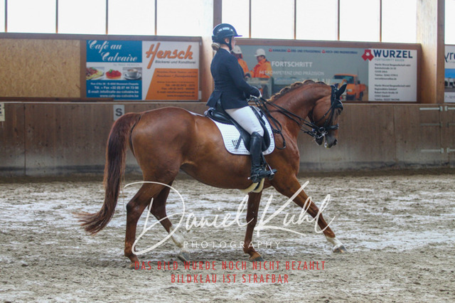 DKP44799 | Turniersportfotografie; Pferdefotografie; Dressurfotografie