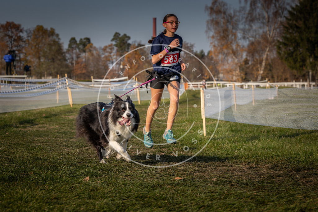 CaniXpix_0L8A9405 | Hundefotografie, Tierfotograf, Pfotenfotografie, Fotoshooting Hund, Hunde Portrait, Hundesport, Hundeportraits, Heideshooting, Hunde, Sportfotograf, Hundefotograf, Turnierhundsport, THS,  - Realisiert mit Pictrs.com