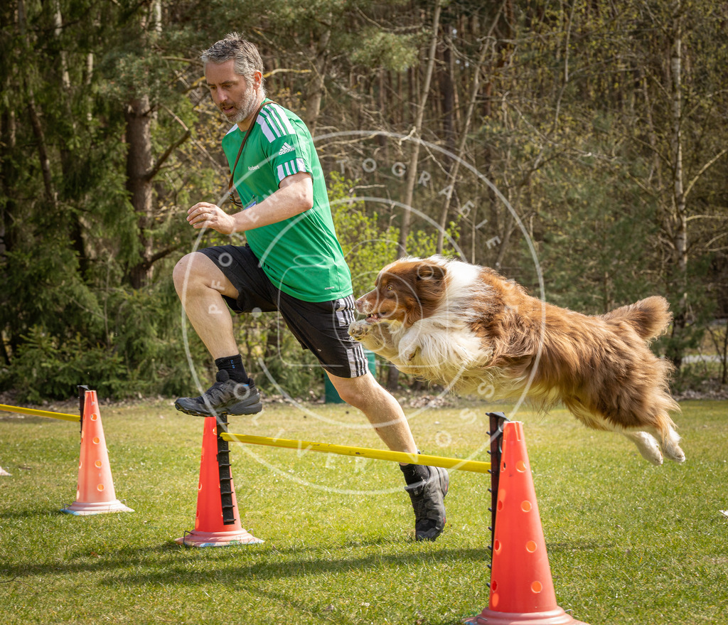 Pfotenfotografie_DV3A6670 | Hundefotografie, Tierfotograf, Pfotenfotografie, Fotoshooting Hund, Hunde Portrait, Hundesport, Hundeportraits, Heideshooting, Hunde, Sportfotograf, Hundefotograf, Turnierhundsport, THS,  - Realisiert mit Pictrs.com