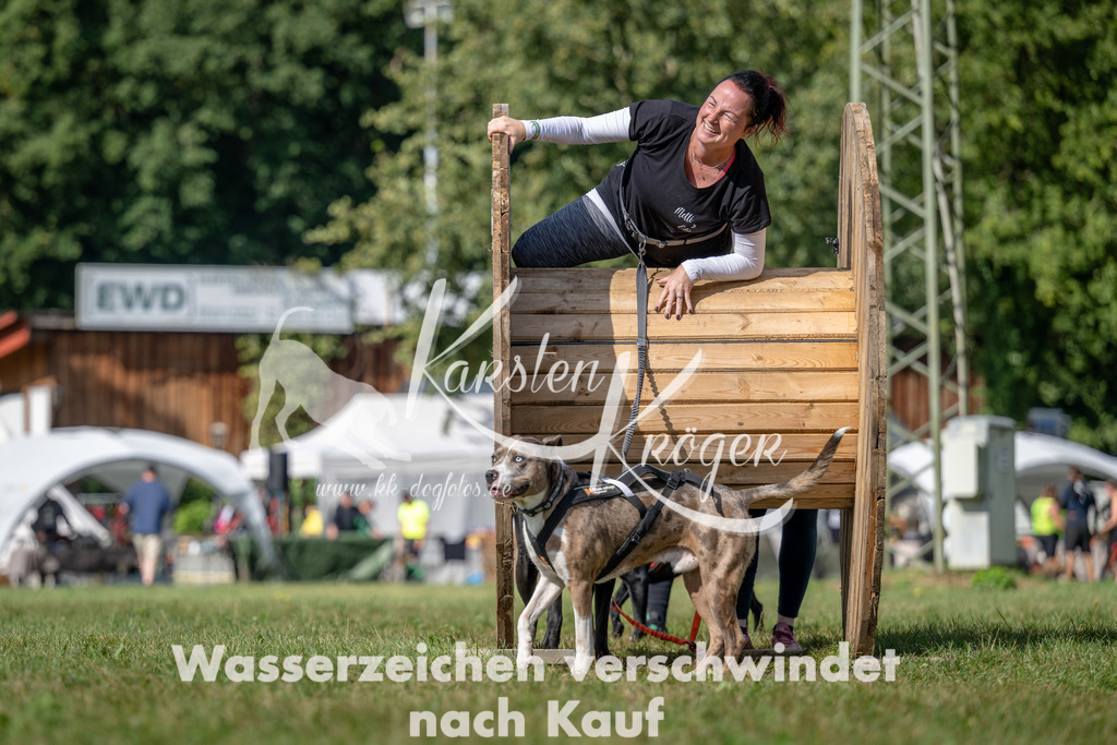 1131_ZZ90496 | kk-dogfotos