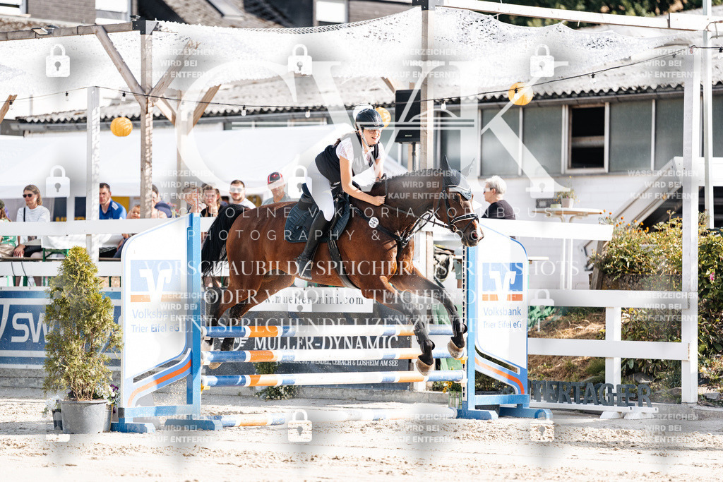 CK909153 | Turnierfotografie Pferdefotografie Trier Rheinland-Pfalz Pferdesport Reitsport Tierfotografie Sportfotografie Pferdevideo Pferdevideografie Equestrianvideography equestrianphotography  - Realisiert mit Pictrs.com